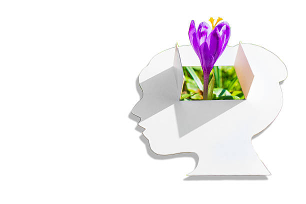 istock Paper Cutout Woman's Profile With Crocus Flower Growing From Head Isolated on White 2214747322