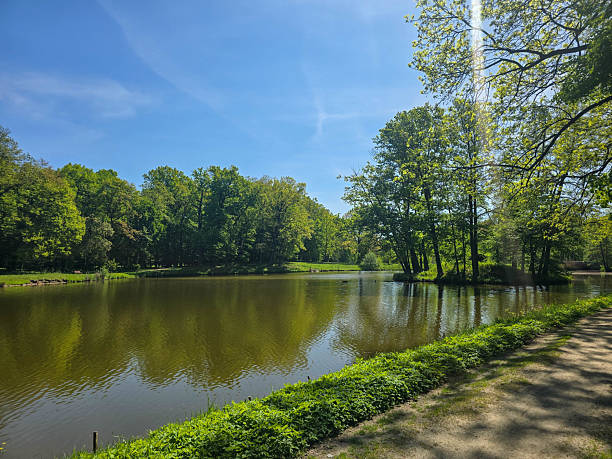 istock Tranquil River Landscape on a Sunny Day 2214750314