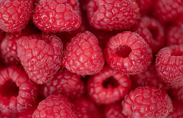 Macro shot of fresh ripe raspberries showing detailed texture and vibrant red color. Juicy and natural fruit background perfect for food, health, or nutrition concepts.