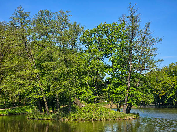 istock Tranquil River Landscape on a Sunny Day 2214751309