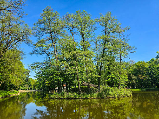 istock Tranquil River Landscape on a Sunny Day 2214751404