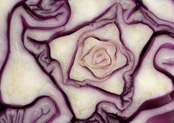 Layers of red cabbage are sliced to expose unique patterns and textures, highlighting the vegetable's structure.