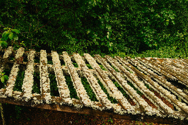 This is a closeup image of a rustic wooden structure, which is beautifully covered in moss and surrounded by