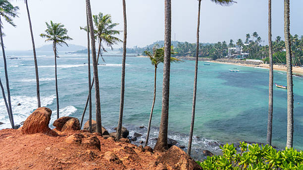 istock Hilltop View of Mirissa, Sri Lanka 2214754923