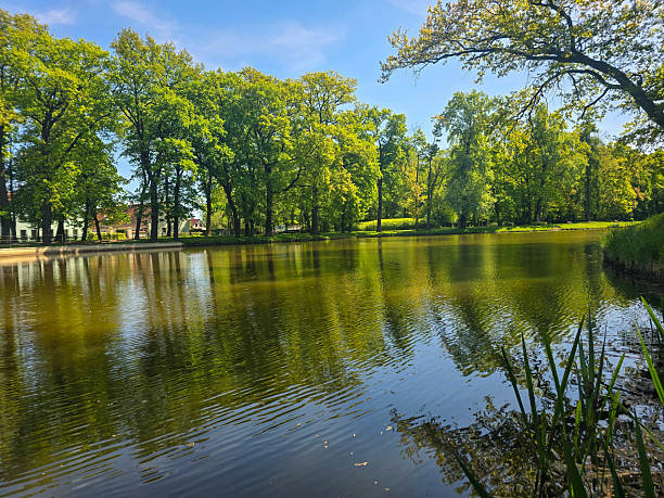 istock Scenic River Landscape with Natural Surroundings 2214756072