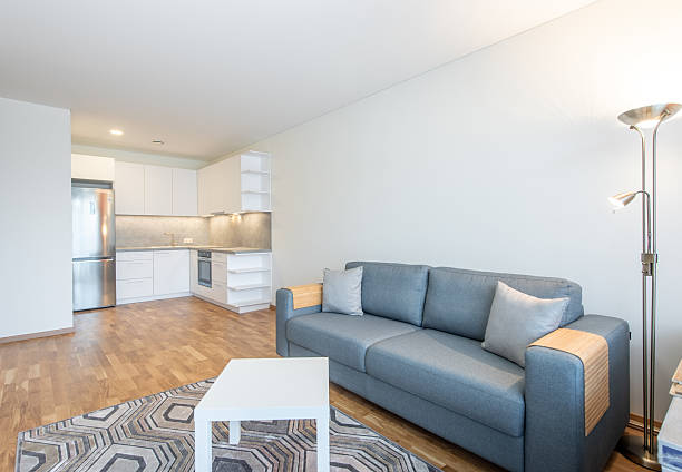 istock Modern Home Living Room With Open Kitchen Design and Cozy Atmosphere 2214756429