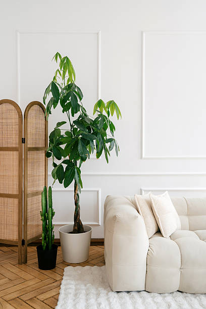 istock Modern white interior with comfortable couch and greenery for stylish living 2214757306