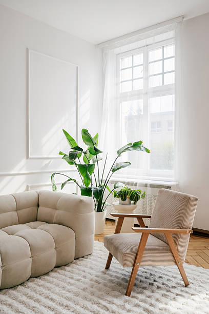 modern white interior with comfortable couch and greenery for relaxed living space - armstoel fotos stockfoto's en -beelden
