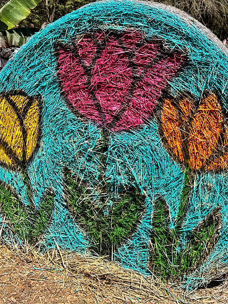 This round hay bale has three beautiful tulip flowers painted on it. This colorful outdoor design is very decorative.