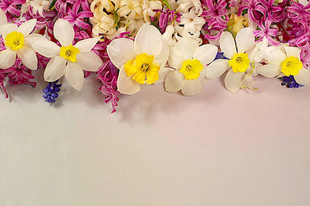 Abstract floral arrangement for screen and design template. Beautiful flyer with white hyacinths, daffodils and blue muscari on elegant bright background. Spring card, elegant natural beauty concept, gift for loved ones.