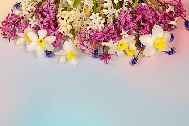 istock Abstract floral arrangement for screen and design template. Beautiful flyer with white hyacinths, daffodils and blue muscari on elegant bright background. Spring card, elegant natural beauty concept, gift for loved ones. 2214758571