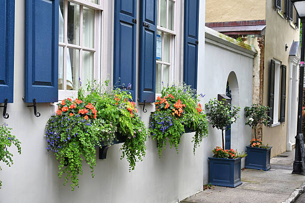 istock Flowers in window boxes in Charleston SC 2214760678