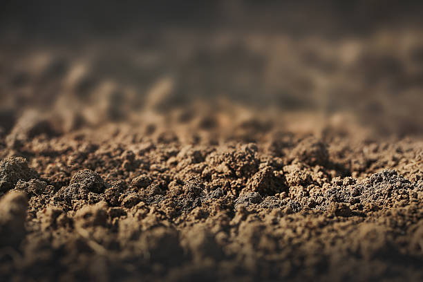 istock soil surface with a focus line for product presentation 2214760727