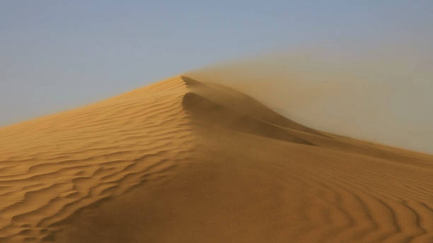 istock Sand blowing over sand dunes in wind 2214766863