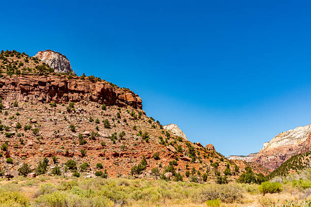 Zion National Park view, Utah, USA.