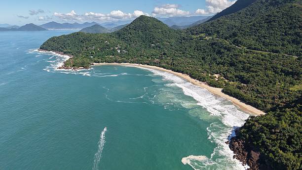 istock Prumirim Beach in Ubatuba/SP 2214768313