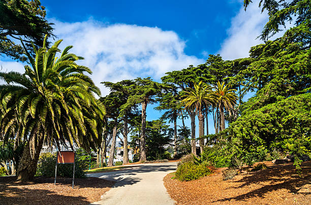 Lush garden with the American flag and the Golden Gate Bridge in the background.