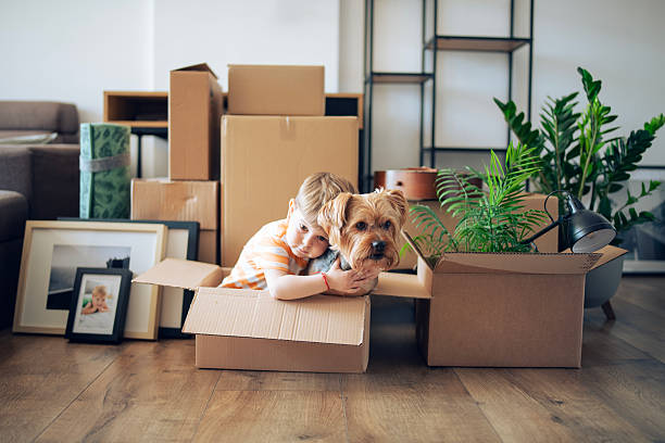 A cheerful Golden Retriever sits inside a cardboard box, showcasing its playful nature in a cozy living room setting. The image captures the essence of domestic life with warmth and joy.