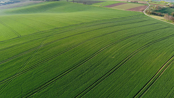 istock Green wavy hills with agricultural fields 2214775467