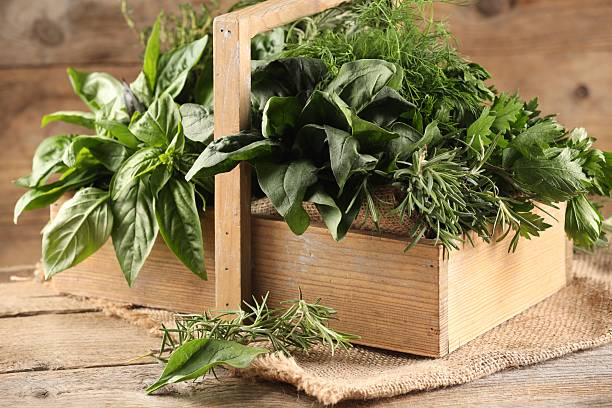 istock Different fresh herbs in basket on wooden table, closeup 2214775584