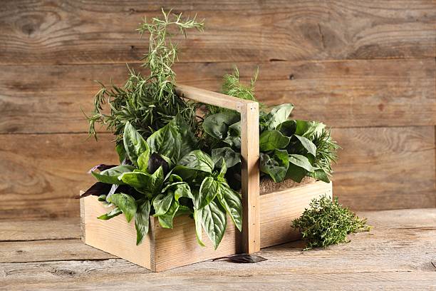 istock Different fresh herbs in basket on wooden table 2214775604