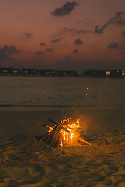 The beautiful metal round a fireplace stands on the sandy coast with a tidal wave at sunset, stones, sand, waves, the landscape, tranquillity, the sun falls, firewood, nobody. High quality photo