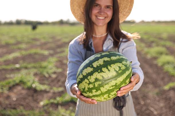 istock Woman with ripe watermelon in field on sunny day, selective focus. Space for text 2214777315