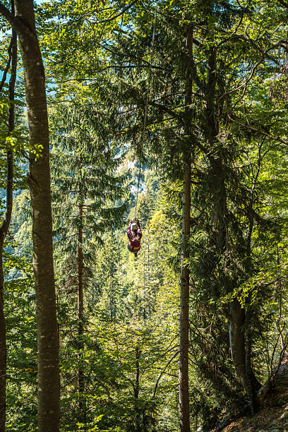 Happy adventurer discovering the serenity of ziplining through towering trees and verdant foliage immersing in the beauty of nature.