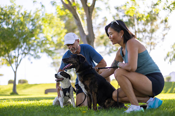 istock Couple Walking Their Dogs 2214786662