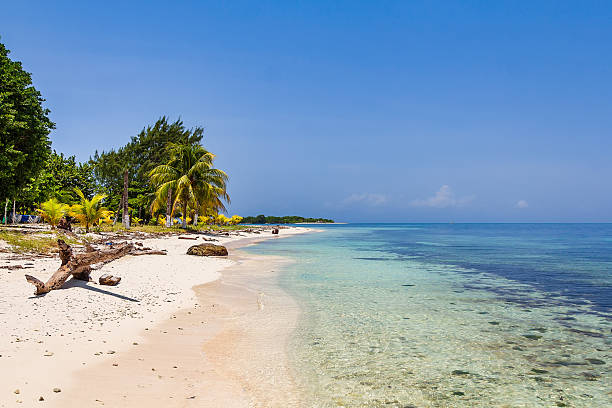 istock Paradise Beach with Palm Trees and Ocean Waves 2214787466