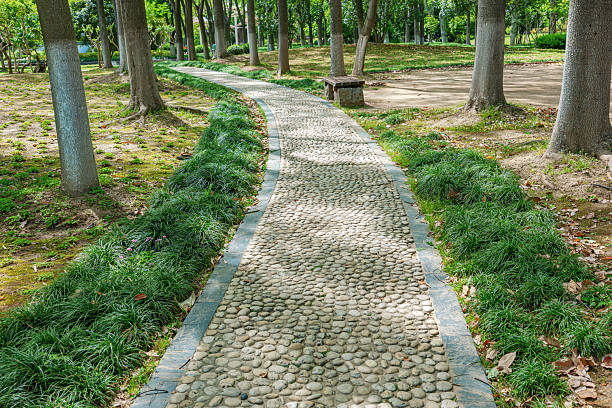 Stone footpath with shady trees in the public park
