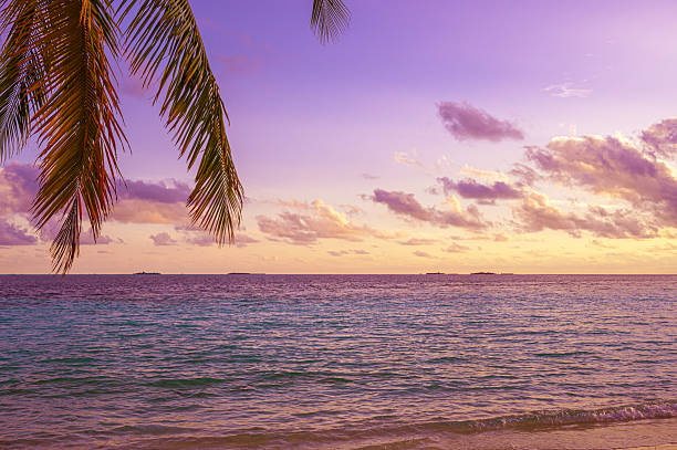 istock Tropical paradise beach and dramatic sky during the sunset 2214789033