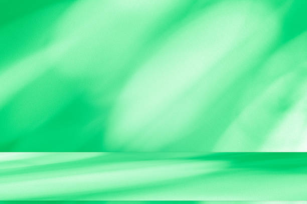 istock Studio style background wall decoration presentation uses white and green tones. with shadows cast from a nearby window, concept creating a decorative 2214796017