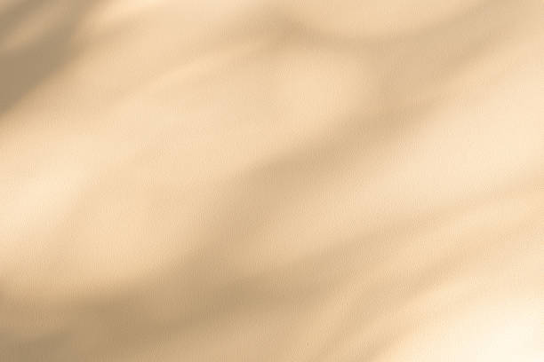 istock Studio style background wall decoration presentation uses white and beige tones. with shadows cast from a nearby window, concept creating a decorative 2214796020