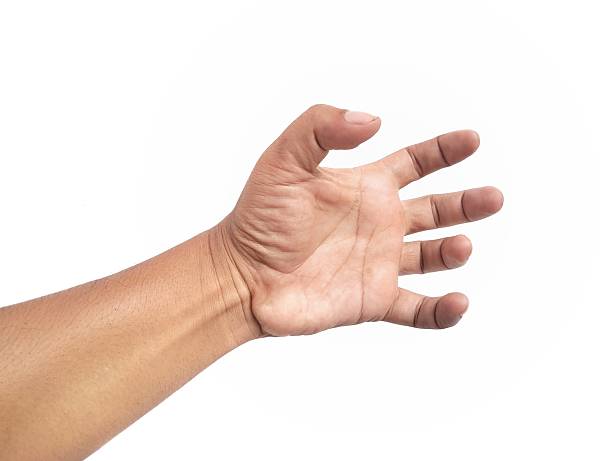 istock Man hand gesture holding something isolated on white background 2214798675