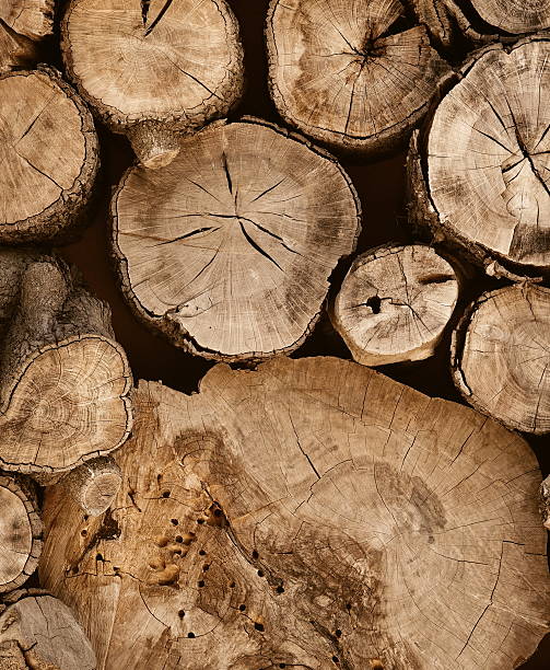 istock Wood Logs Rustic Top View Brown Natural Texture Image 2214798960