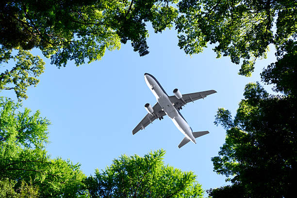 istock Looking up flying airplane over the natural frame of treetops 2214800935