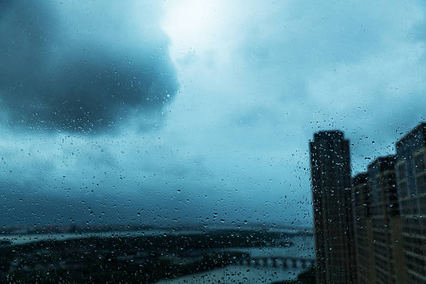 Looking at the city through the window