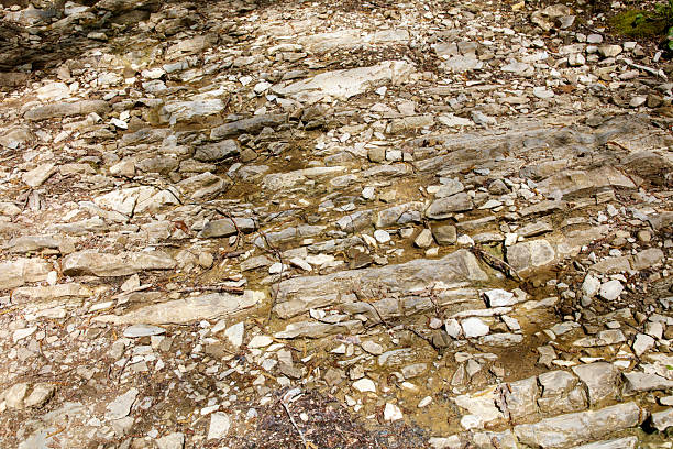 A rocky, barren landscape with a few small rocks scattered around. The image has a desolate and rugged feel to it