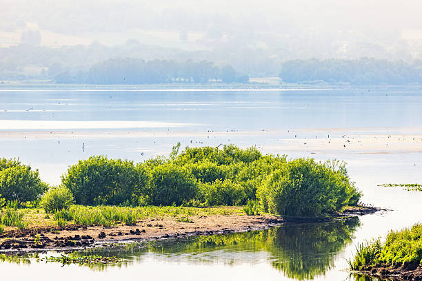 istock Lake view with a river outlet with lush green bushes 2214806964