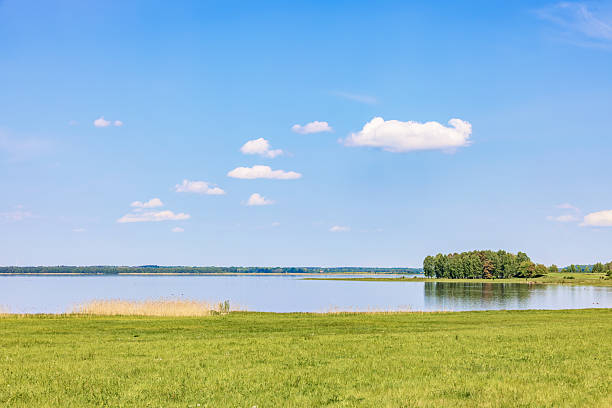 Awesome view of a lake in a plain landscape at summer
