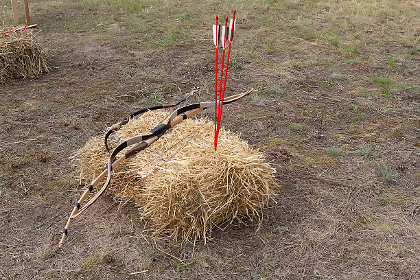 istock Ancient onion for shooting and arrows 2214809730