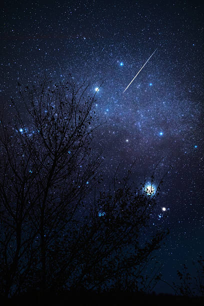 istock Milky Way stars with countryside tree silhouettes. 2214810299