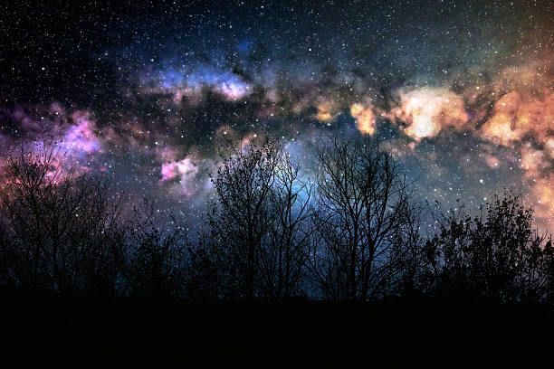 Milky Way stars with countryside tree silhouettes.
