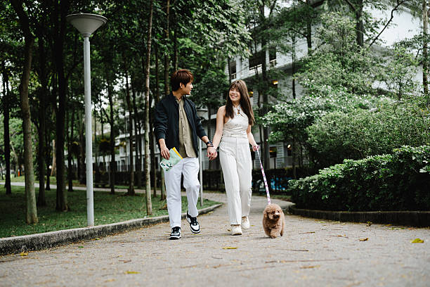 istock Relaxing Park Walk with Fluffy Dog and Romantic Partner 2214812041