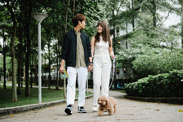 istock Affectionate Couple Enjoying a Dog Walk in a Green Park 2214812060