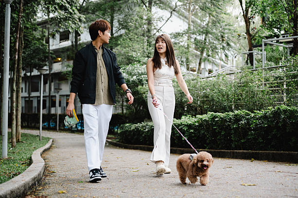 istock Modern Couple and Their Dog Enjoying a Peaceful Walk 2214812081