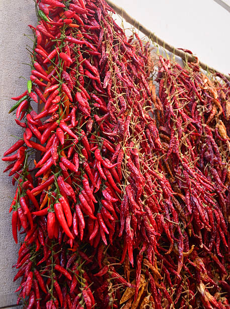 istock Red Peppers in a Market Drying in the Sun 2214813375