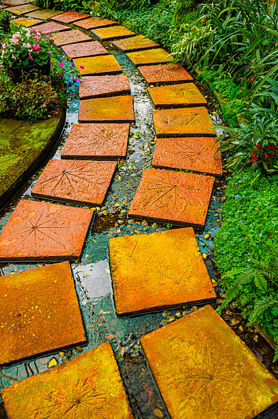 Walkway in garden park