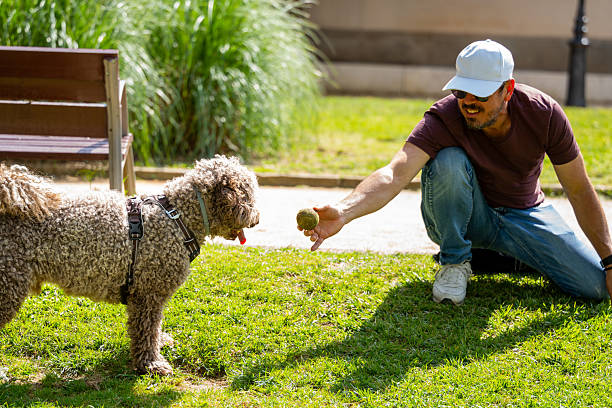 istock Man playing with his water dog in park 2214815800